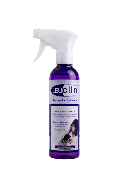 Leucillin Antiseptic Skin Care - 250ml Spray.
